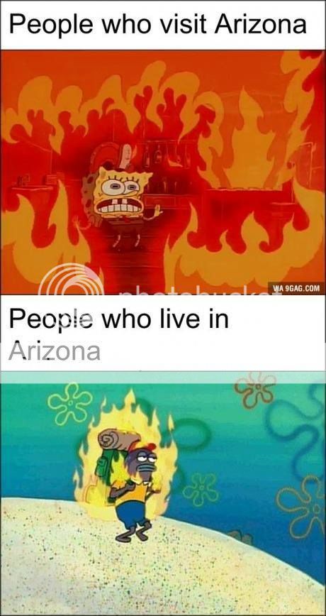 arizona_zpslcnehhlg.jpg
