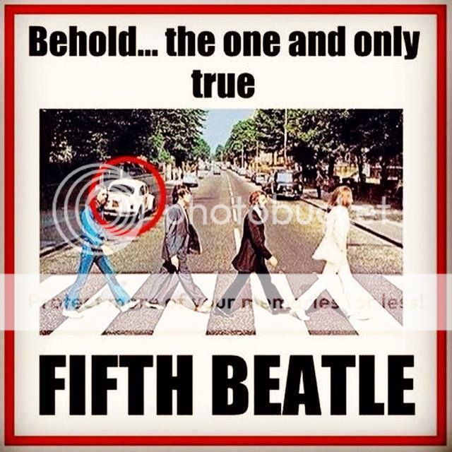 beatle_zpsnpg97rqi.jpg