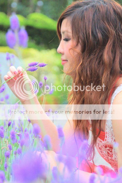  photo 2820681302022793_l.jpg