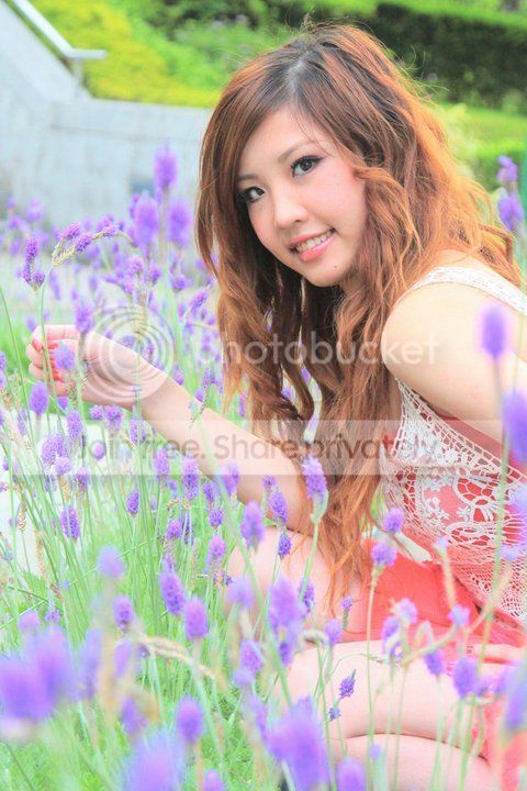  photo 2820681302085099_l-1.jpg