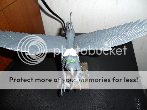 user posted image