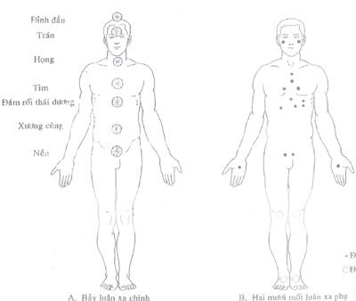 36 Tử Huyệt Của con Người - 5