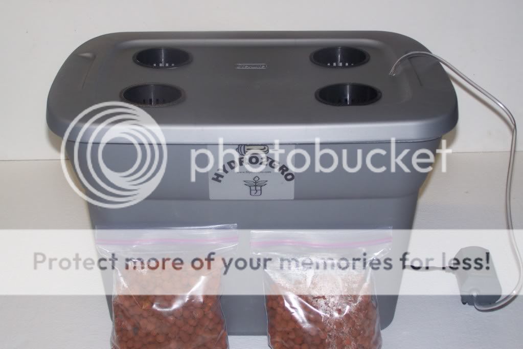 hydroponic lettuce farm for sale