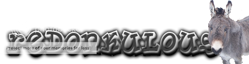 Posted Image