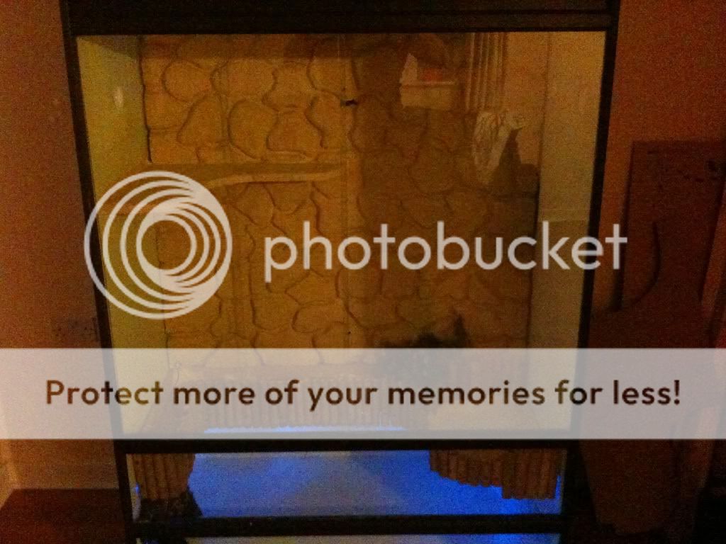 My custom viv for a water dragon Reptile Forums