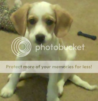  photo Video500025-29.jpg