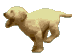 thanmls_lb0663.gif