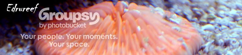 [TodoMarino.com] Laguna reef