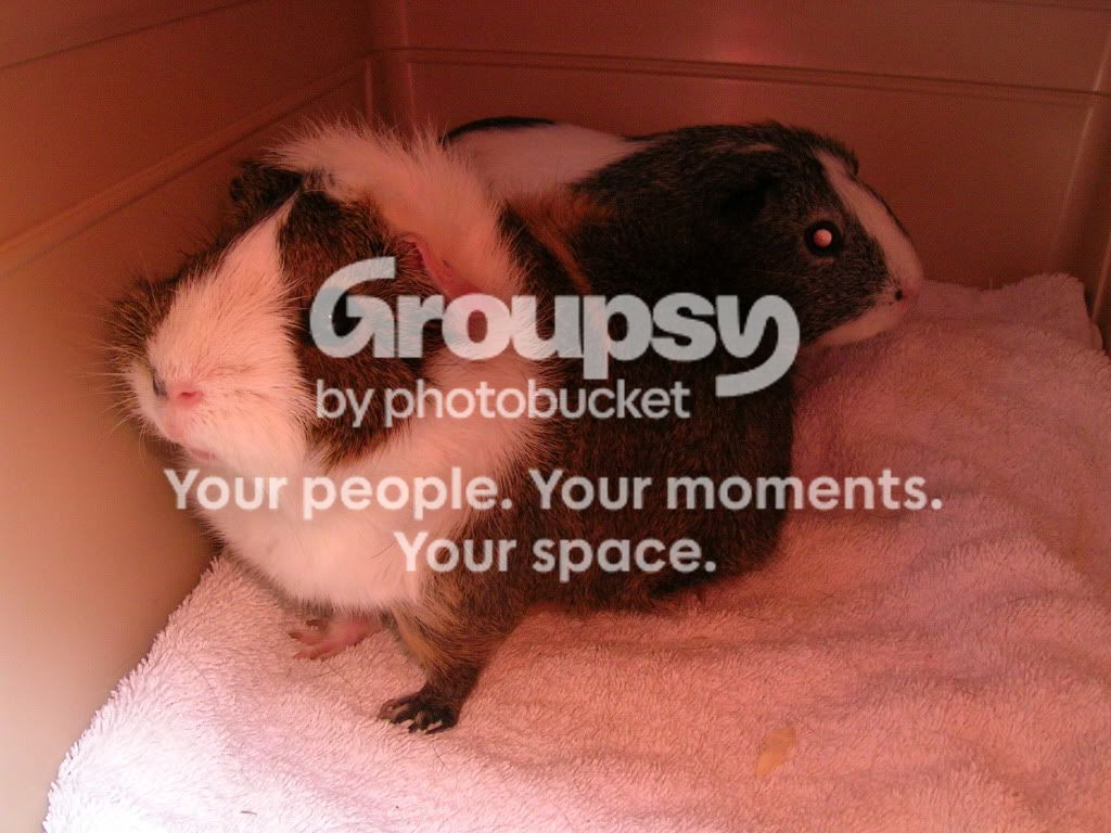 DSCN3730.jpg