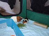 th_DSC03314.jpg